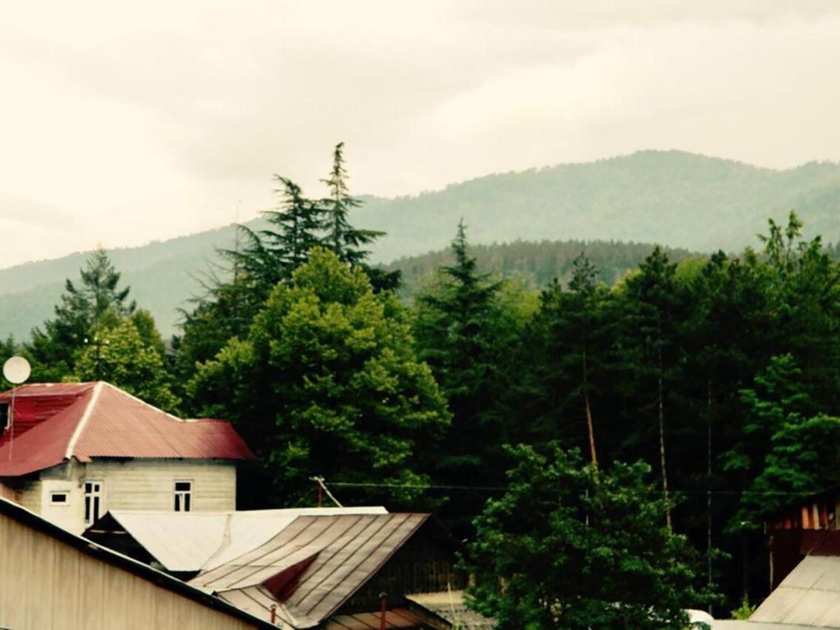 Erik'S Guest House Borjomi Exterior photo