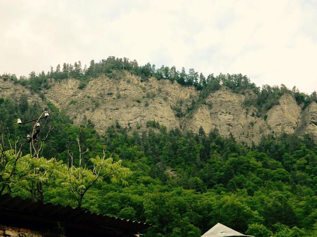 Erik'S Guest House Borjomi Exterior photo